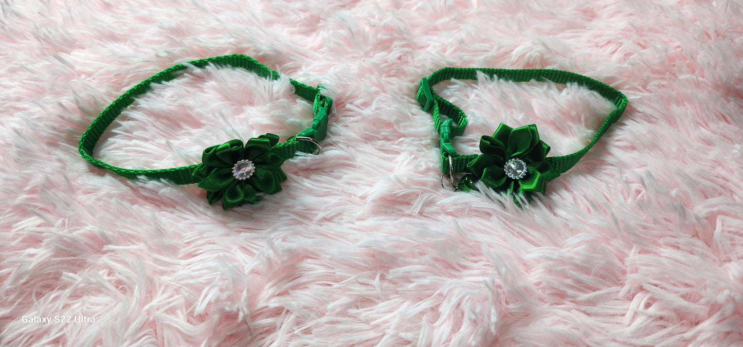 Collars perfect for small dogs