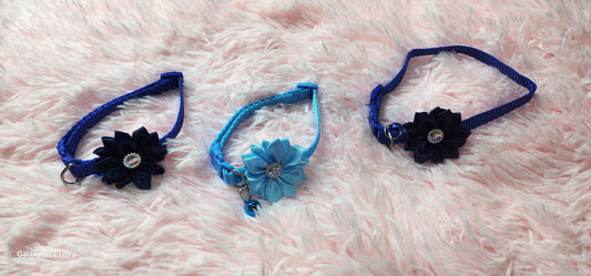 Collars perfect for small dogs