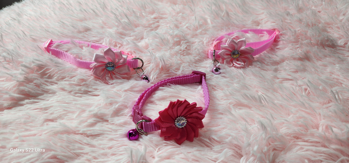 Collars perfect for small dogs