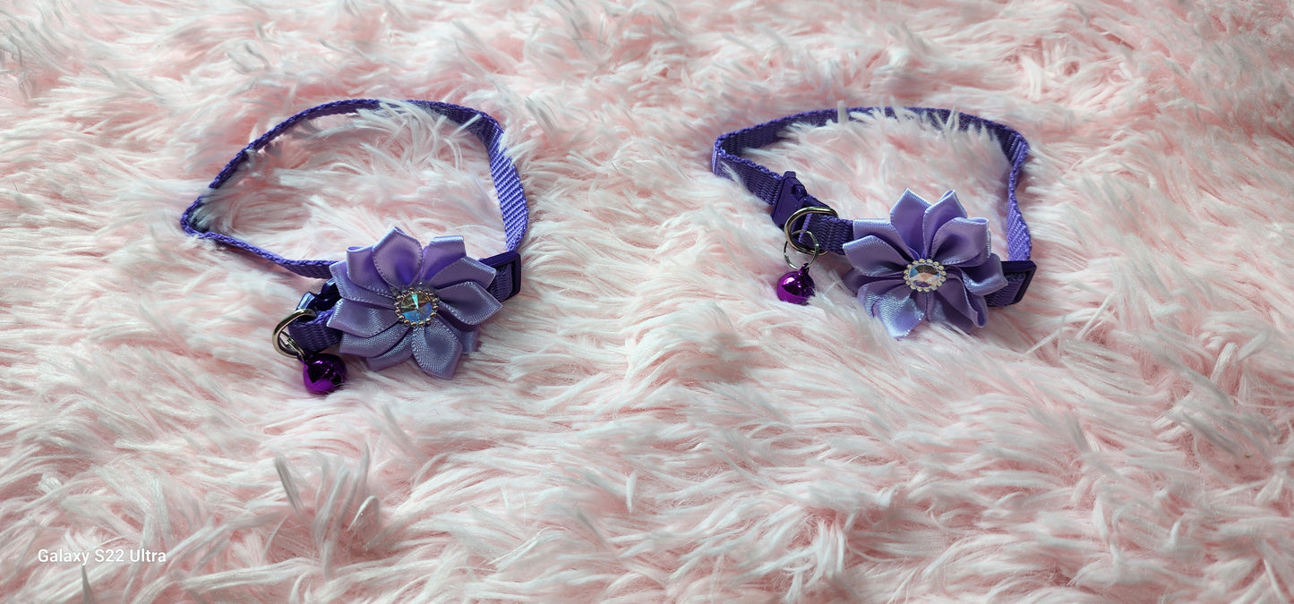 Collars perfect for small dogs