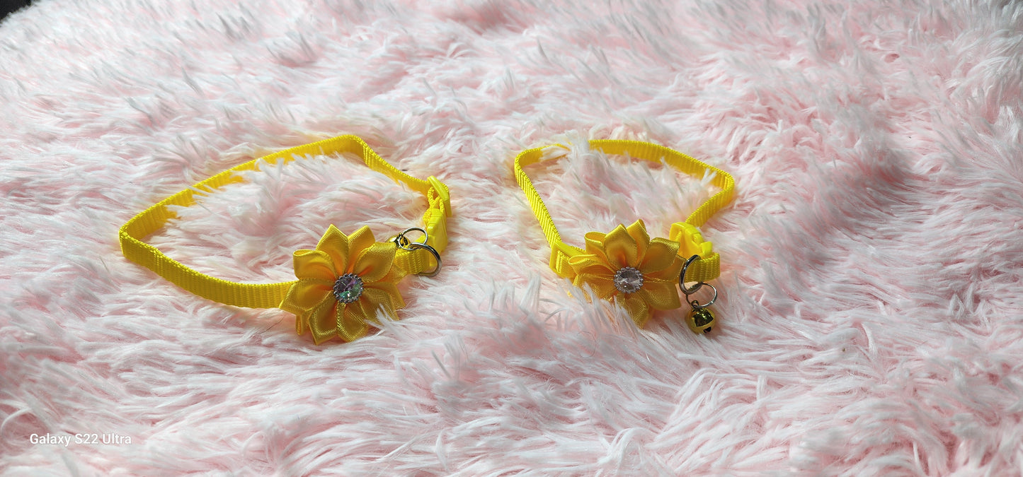 Collars perfect for small dogs
