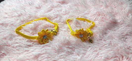 Collars perfect for small dogs