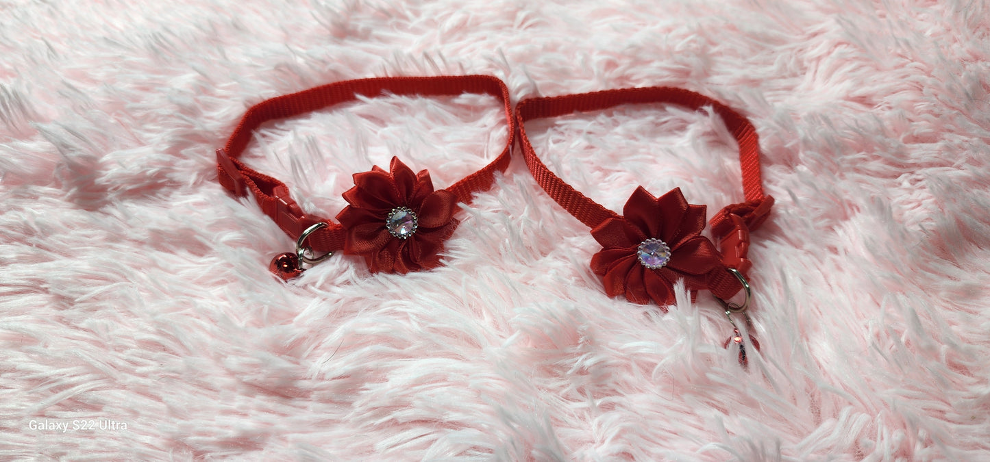 Collars perfect for small dogs