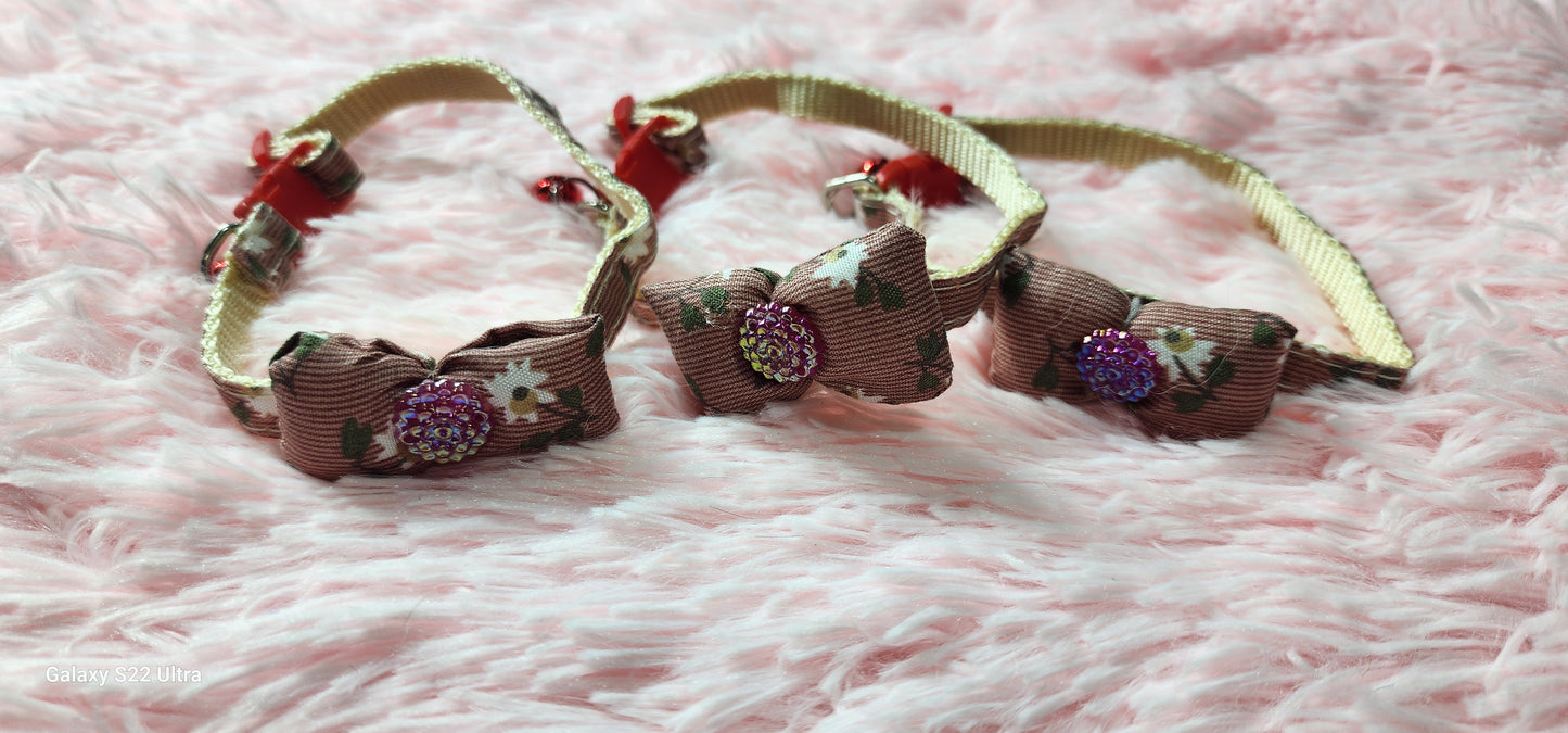 Bows collars variable colors